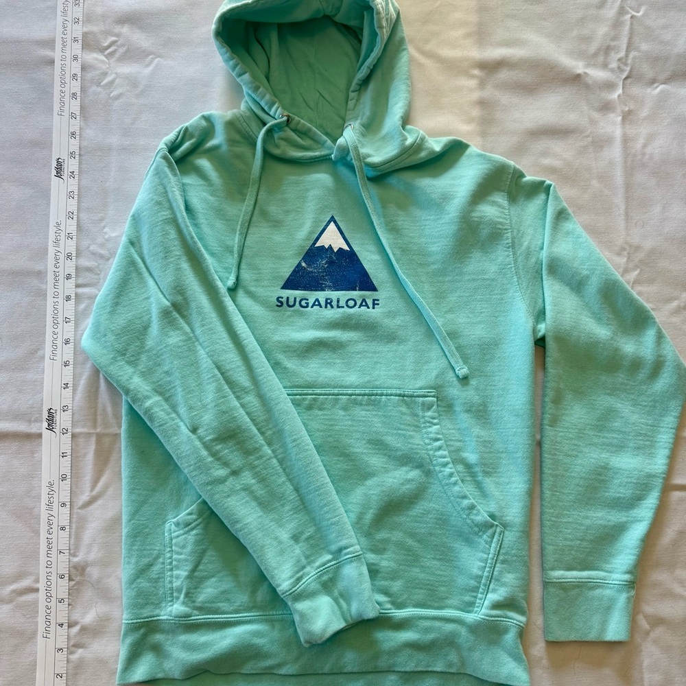 Mint Green Mountain Hoodie